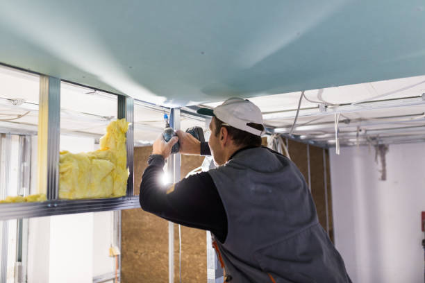 Best Commercial Insulation in Hinesville, GA